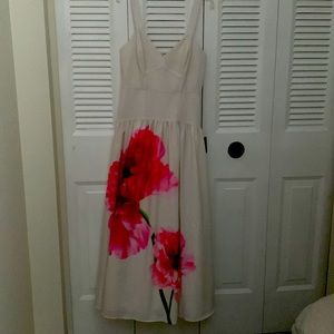 Maxi Flora Express Dress
